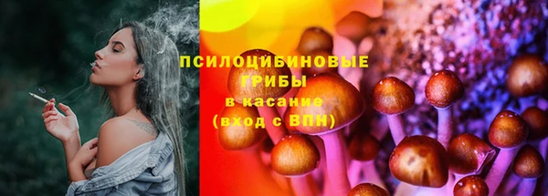мескалин Алексин