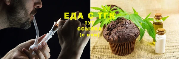 индика Алзамай