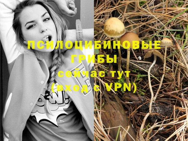 индика Алзамай
