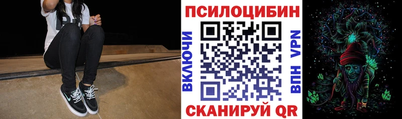 Псилоцибиновые грибы Psilocybe Анжеро-Судженск