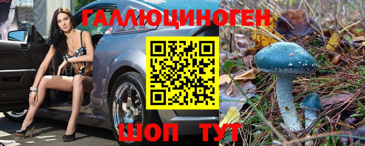Анжеро-Судженск  Псилоцибиновые грибы Psilocybe  Галлюциногенные грибы Psilocybe  Вход с VPN 